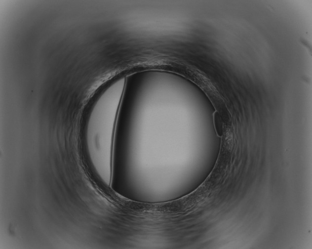 X0000094960732200711291127