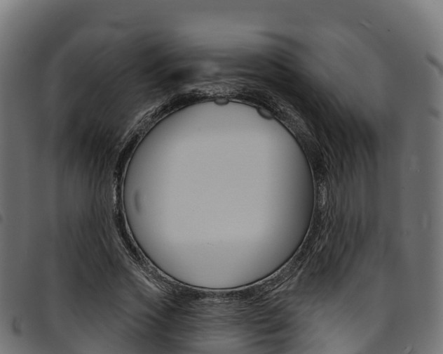 X0000094960733200711291127