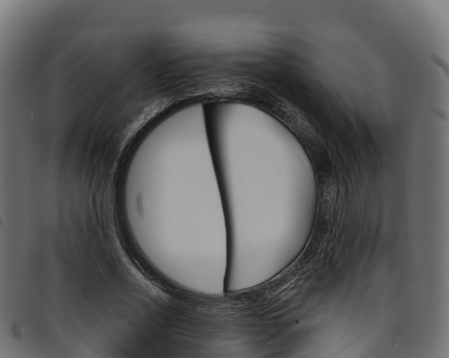 X0000094960734200711291127