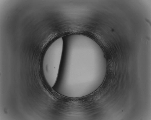 X0000094960738200711291127