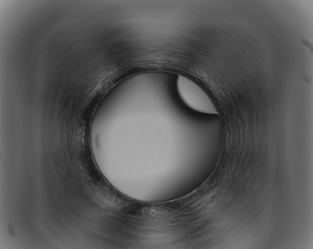 X0000094960739200711291127