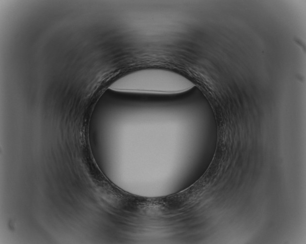 X0000094960743200711291127