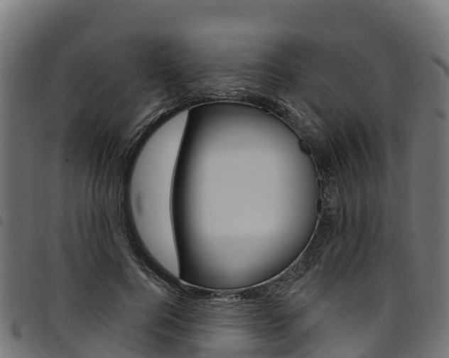 X0000094960744200711291127