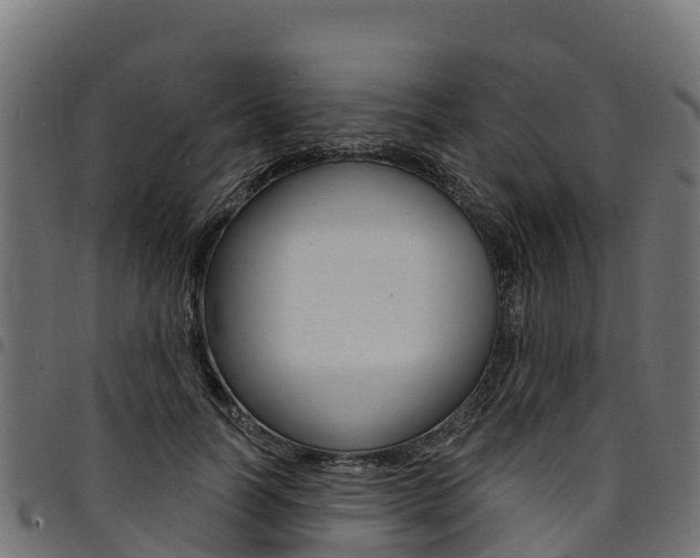 X0000094960746200711291127
