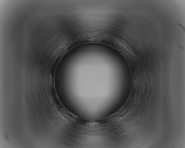X0000094960748200711291127