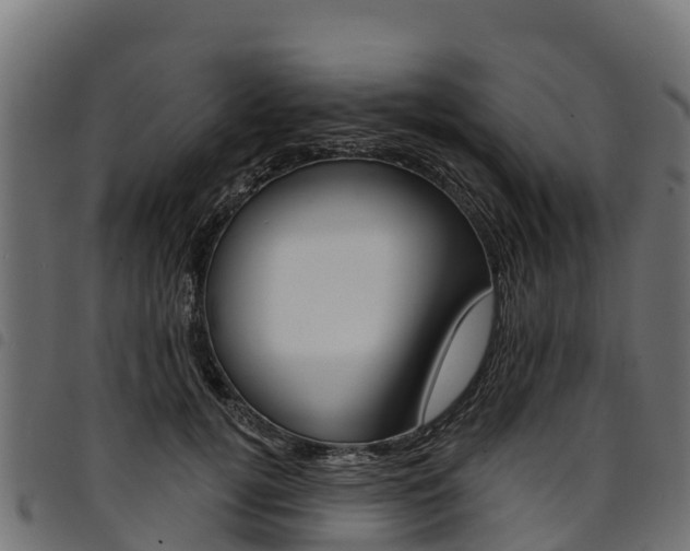 X0000094960752200711291127