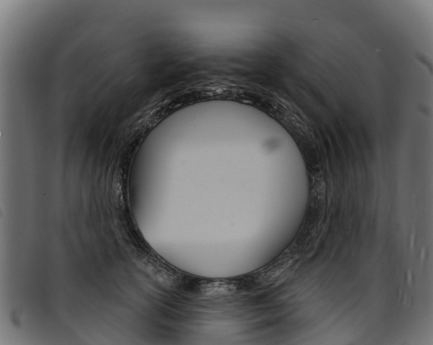 X0000094960754200711291128