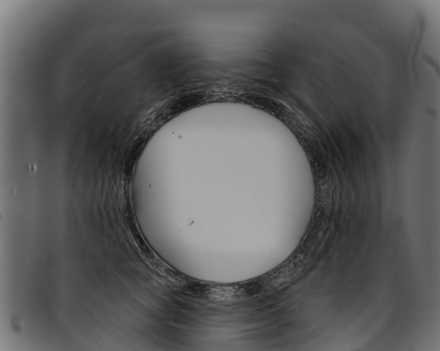 X0000094960757200711291128