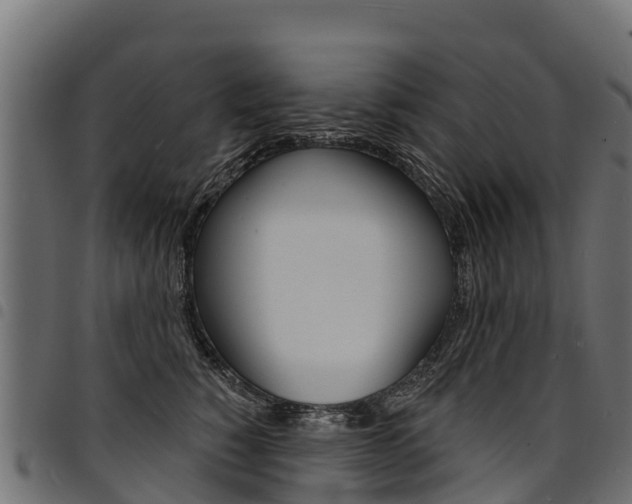 X0000094960760200711291128