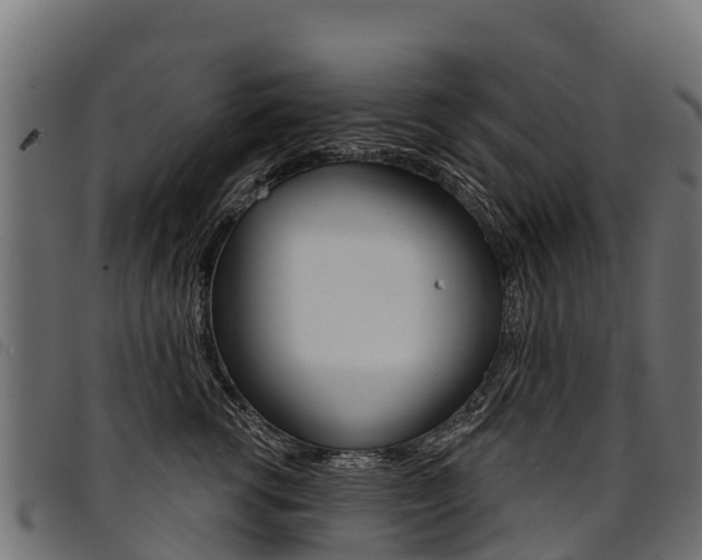 X0000094960762200711291128