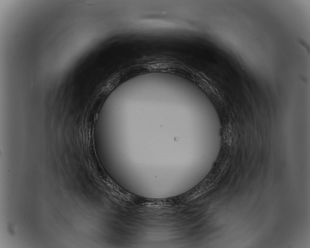 X0000094960763200711291128