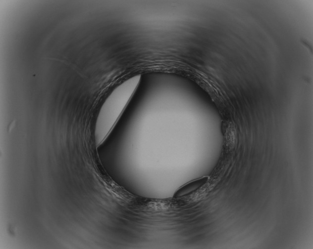 X0000094960764200711291128