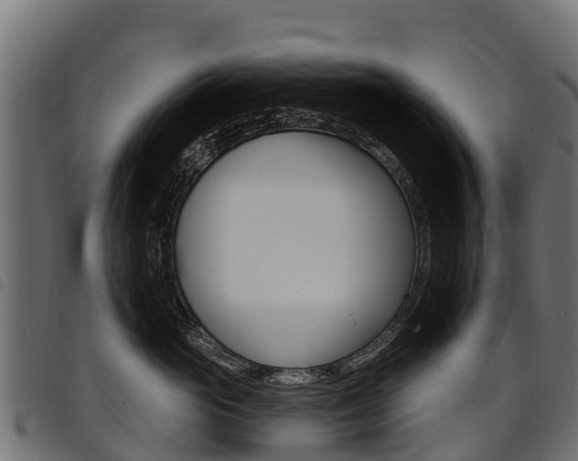 X0000094960765200711291128
