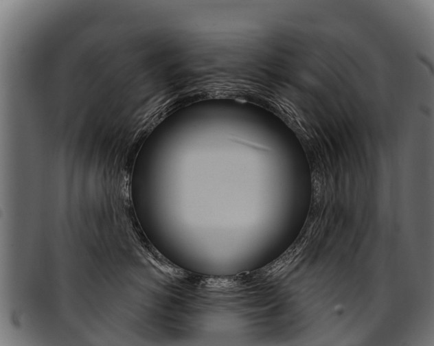 X0000094960766200711291128