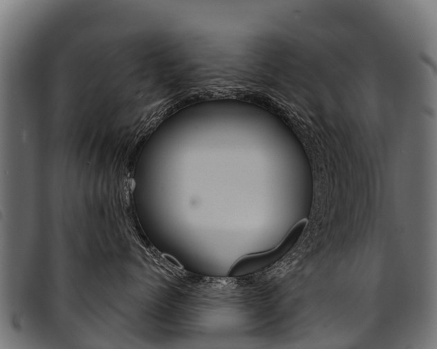 X0000094960768200711291128