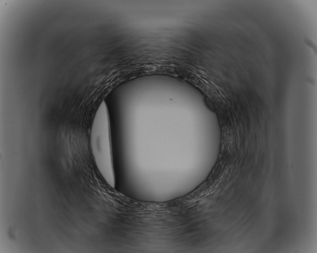 X0000094960770200711291127