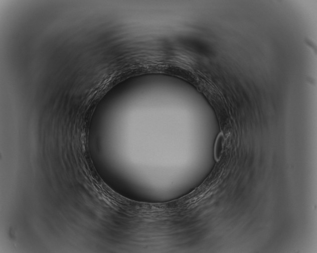 X0000094960772200711291127