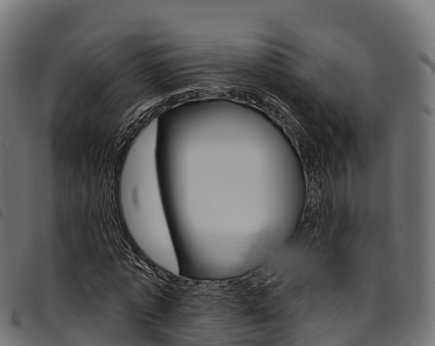 X0000094960773200711291127