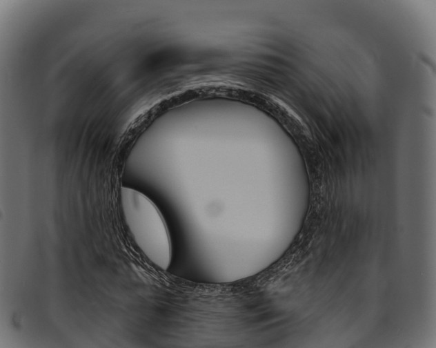 X0000094960775200711291127