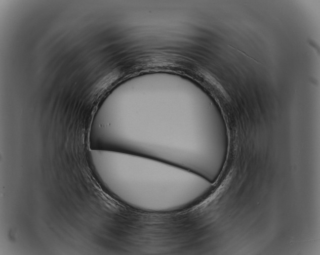 X0000094960777200711291127