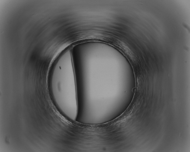 X0000094960780200711291127