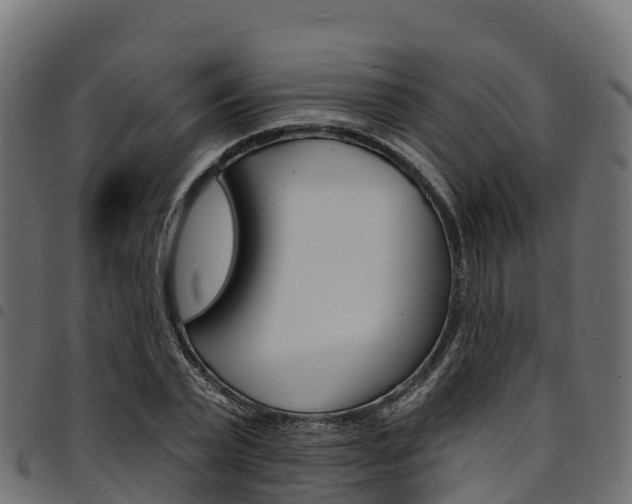 X0000094960783200711291127