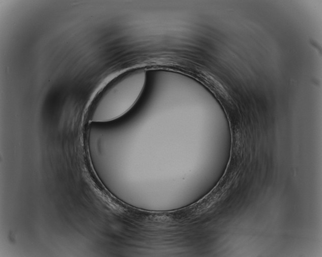 X0000094960784200711291127
