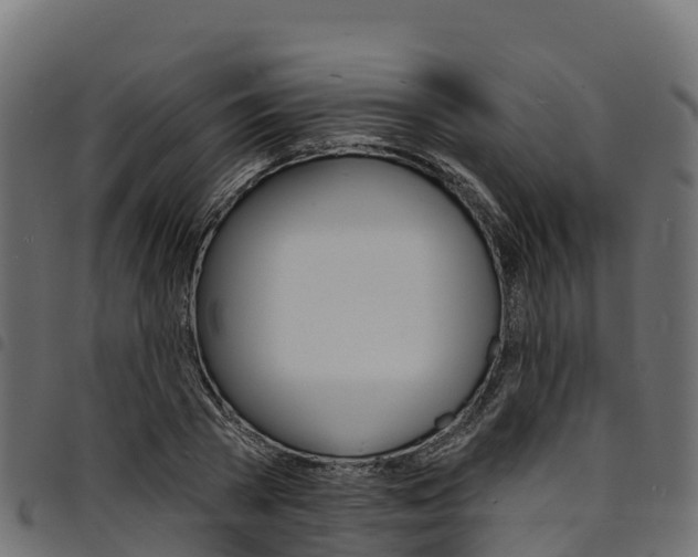 X0000094960785200711291127