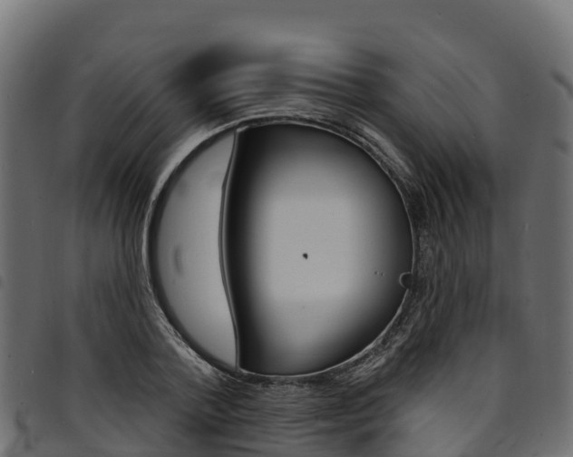 X0000094960788200711291127