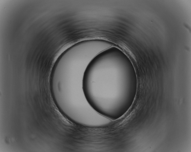 X0000094960789200711291127