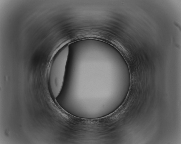 X0000094960790200711291127