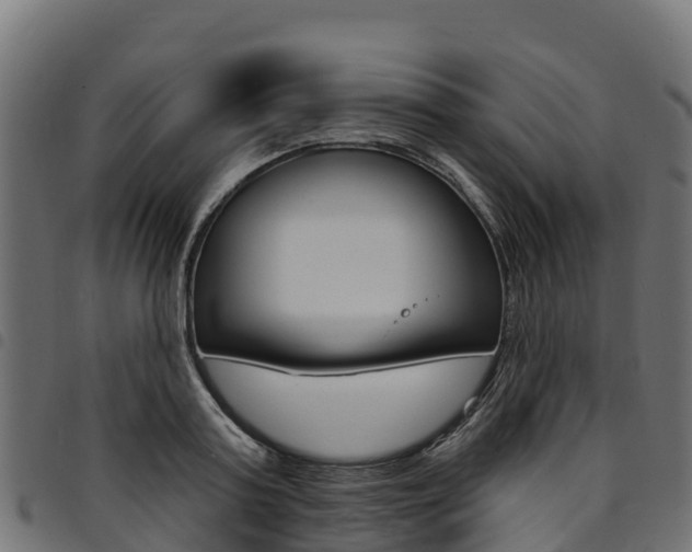 X0000094960795200711291127