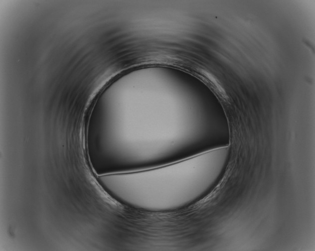 X0000094960796200711291127