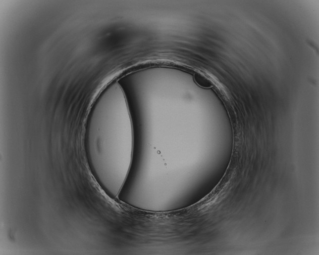 X0000094960799200711291127