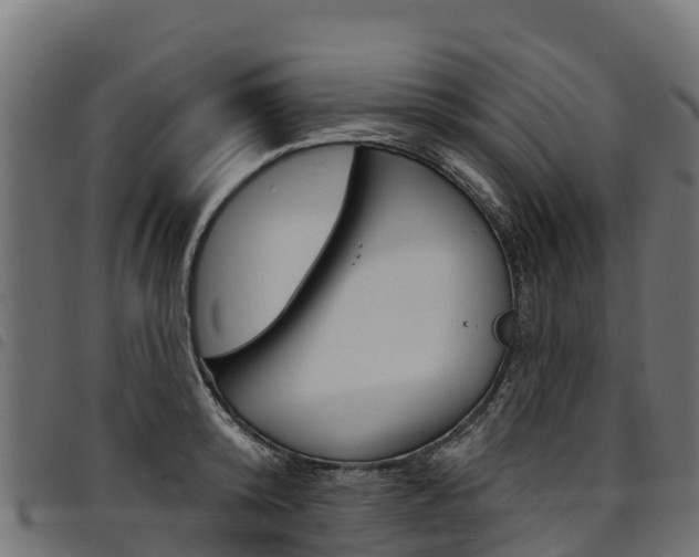 X0000094960800200711291127