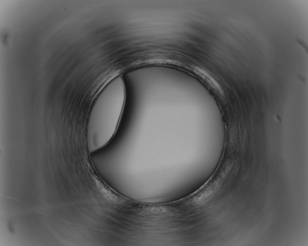 X0000094960801200711291127