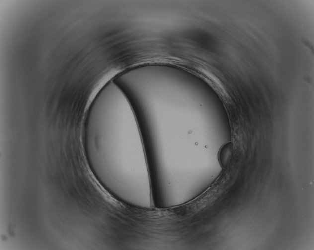 X0000094960804200711291127