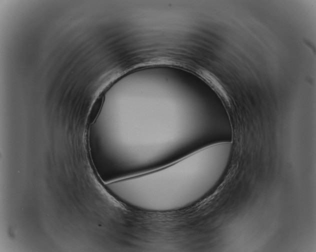 X0000094960805200711291127