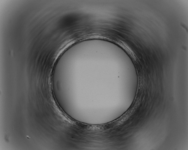 X0000094960806200711291127
