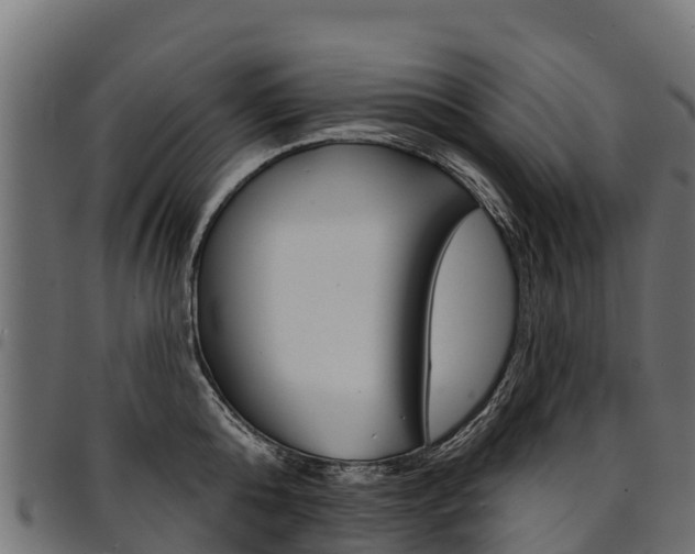 X0000094960808200711291127