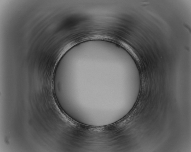 X0000094960810200711291126