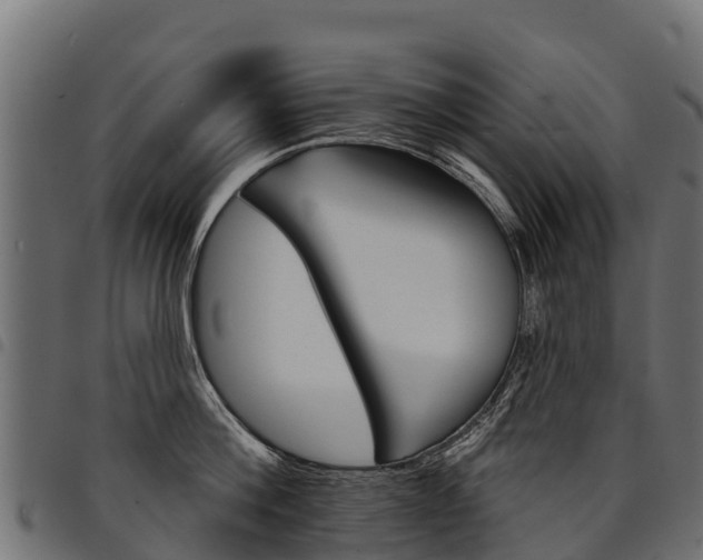 X0000094960812200711291126