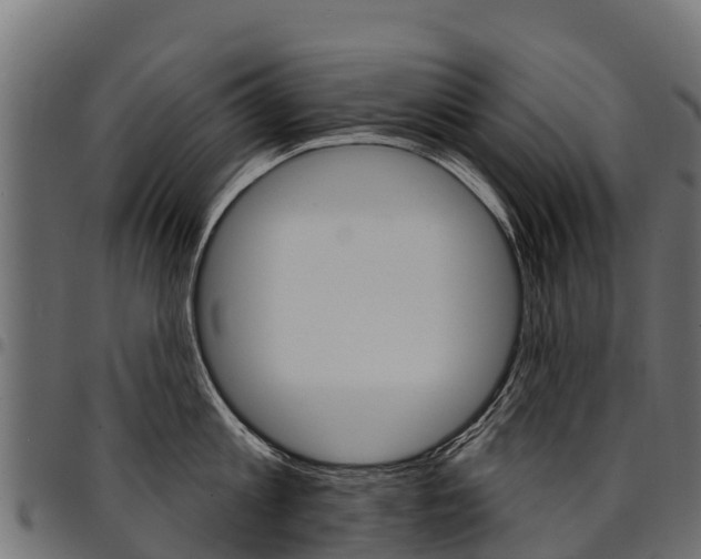 X0000094960813200711291126