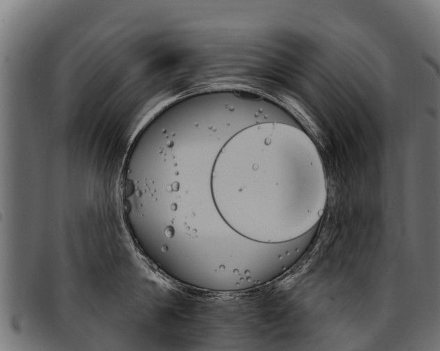 X0000094960814200711291126