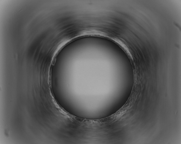X0000094960815200711291126