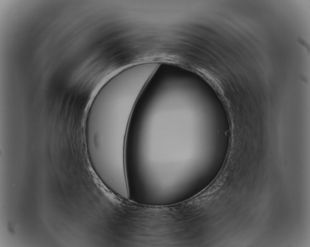 X0000094960816200711291126