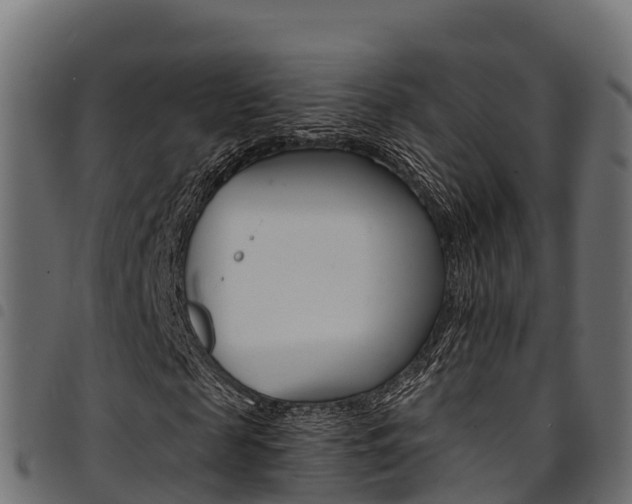 X0000094960817200711291126