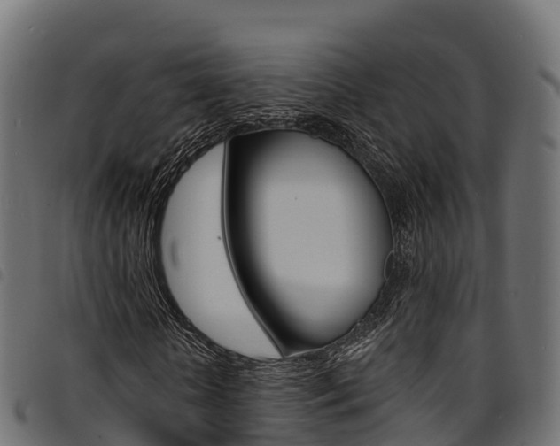 X0000094960818200711291126