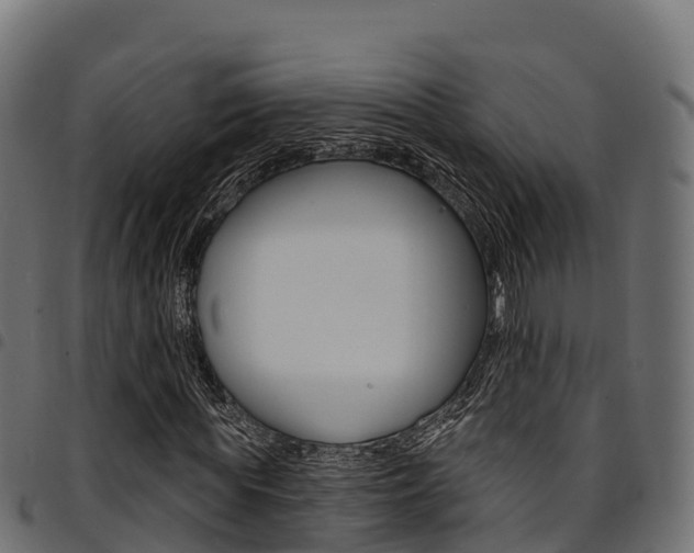 X0000094960819200711291126