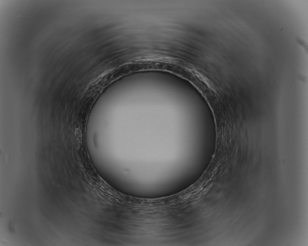 X0000094960821200711291126